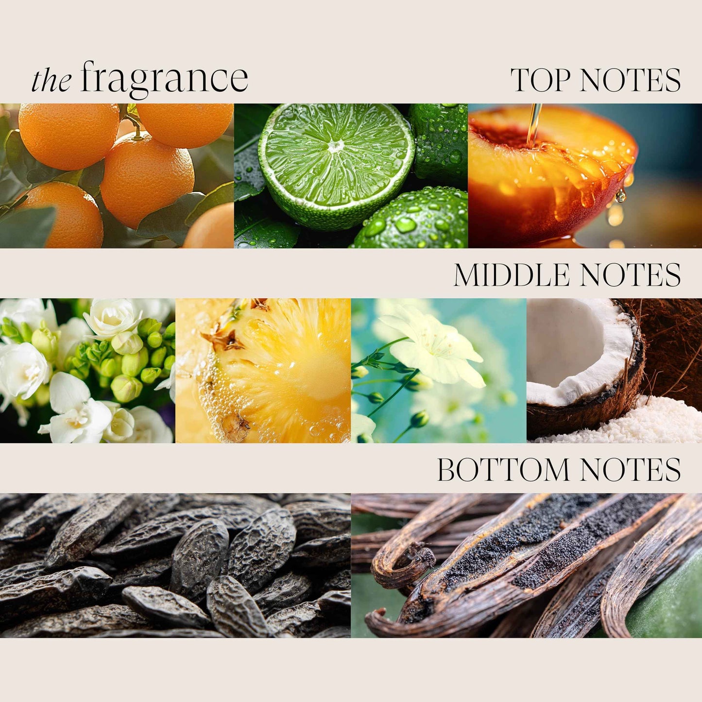 L'ANZA Healing Moisture Kukui Nut Conditioner, Renews Strength, Replenishes Moisture, for a Perfect Silky Look,Suitable for All Hair Types (8.5 Fl Oz)