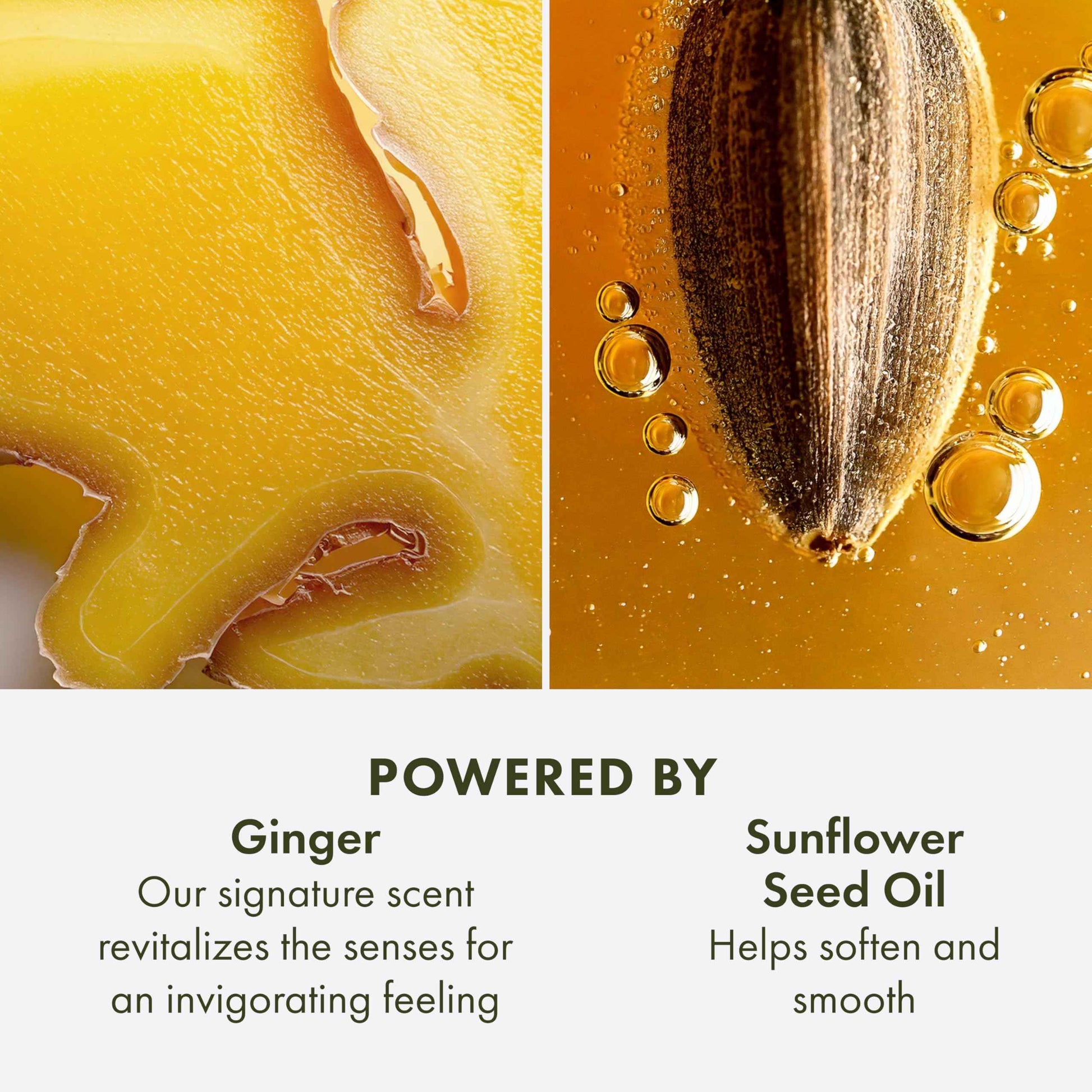 Origins Ginger Hand & Body Lotion for Dry Skin | Hydrates & Softens | With Vitamin E & Aloe Vera, 6.7 Fl Oz