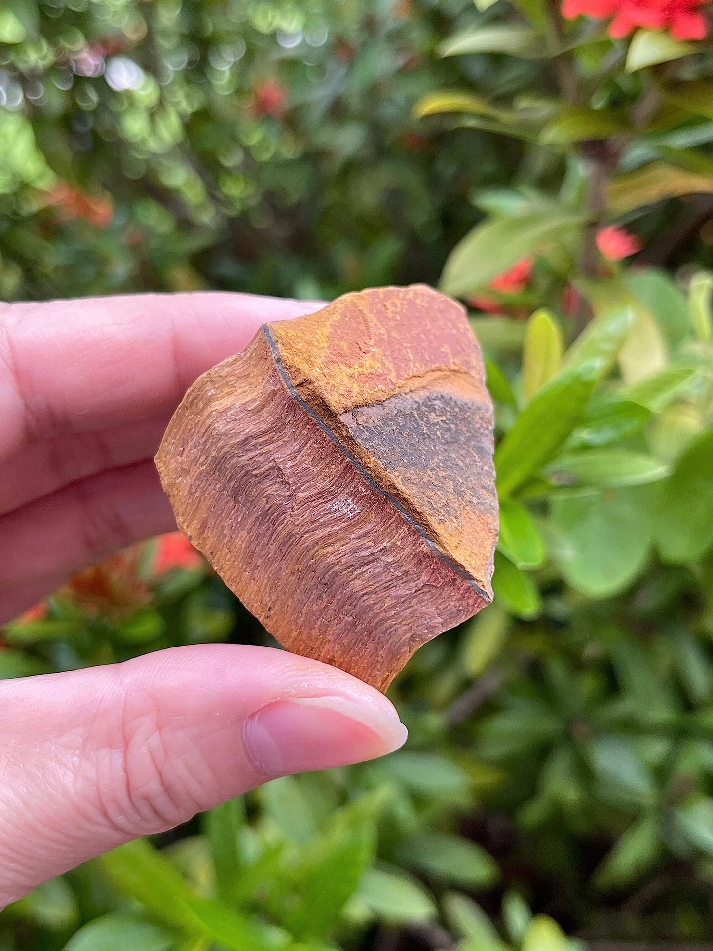 GAF TREASURES Wholesale Raw Tiger Eye Crystals, Natural Tiger Eye Stone, Natural Rough Tiger Eye Crystals, Tiger Eye Rough, Tiger Eye Healing Crystals (Tiger Eye, 0.25 Pound)