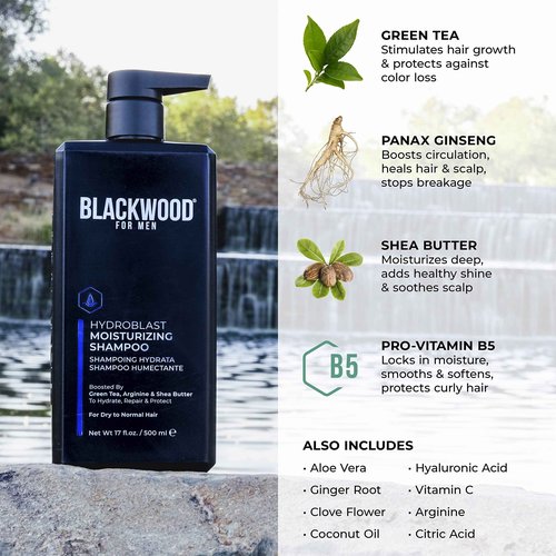 Blackwood For Men Hair & Beard Hydrator Spray (4oz) + Hydroblast Moisturizing Shampoo (17oz) Bundle - Vegan & Natural Leave-In Conditioner