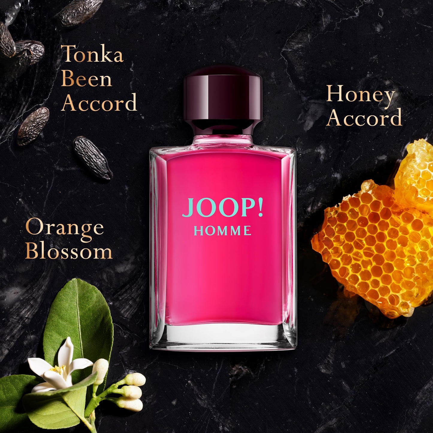 Joop! Men's 2-Pc. Homme Festive Gift Set