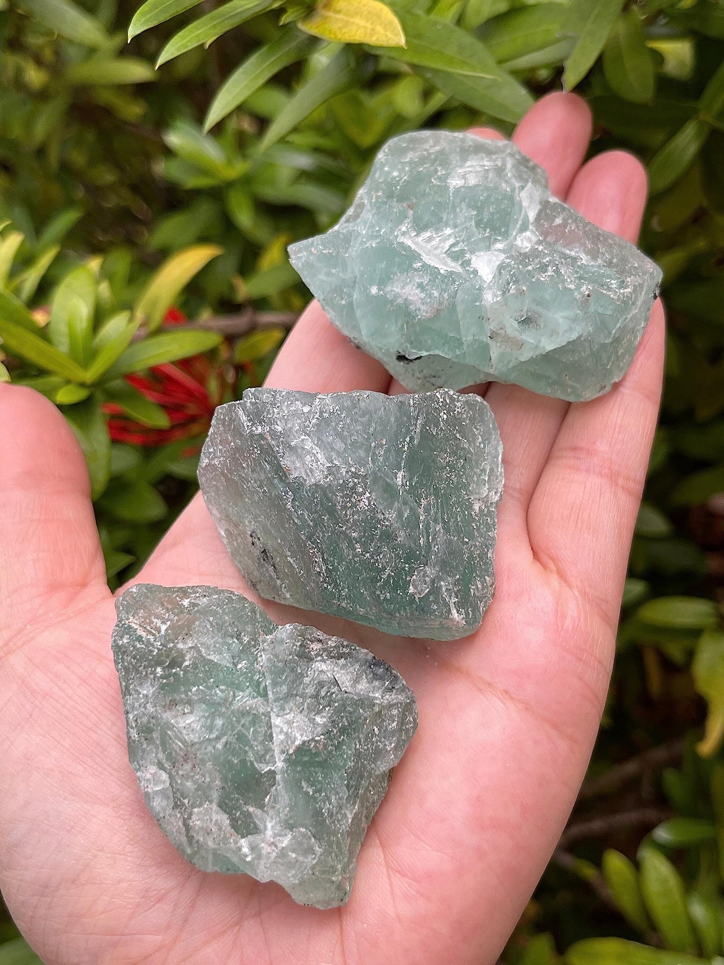 WHOLESALE Raw Green Fluorite Crystals, Natural Green Fluorite Stone, Natural Rough Green Fluorite crystals, Green Fluorite Rough, Green Fluorite Healing Crystals (Green Fluorite, 0.25 Pound)