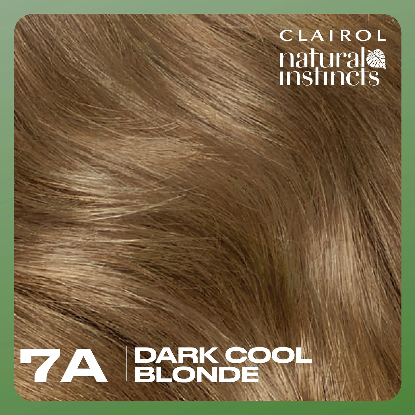 Clairol Natural Instincts Demi-Permanent Hair Dye, 7A Dark Cool Blonde Hair Color, Pack of 1