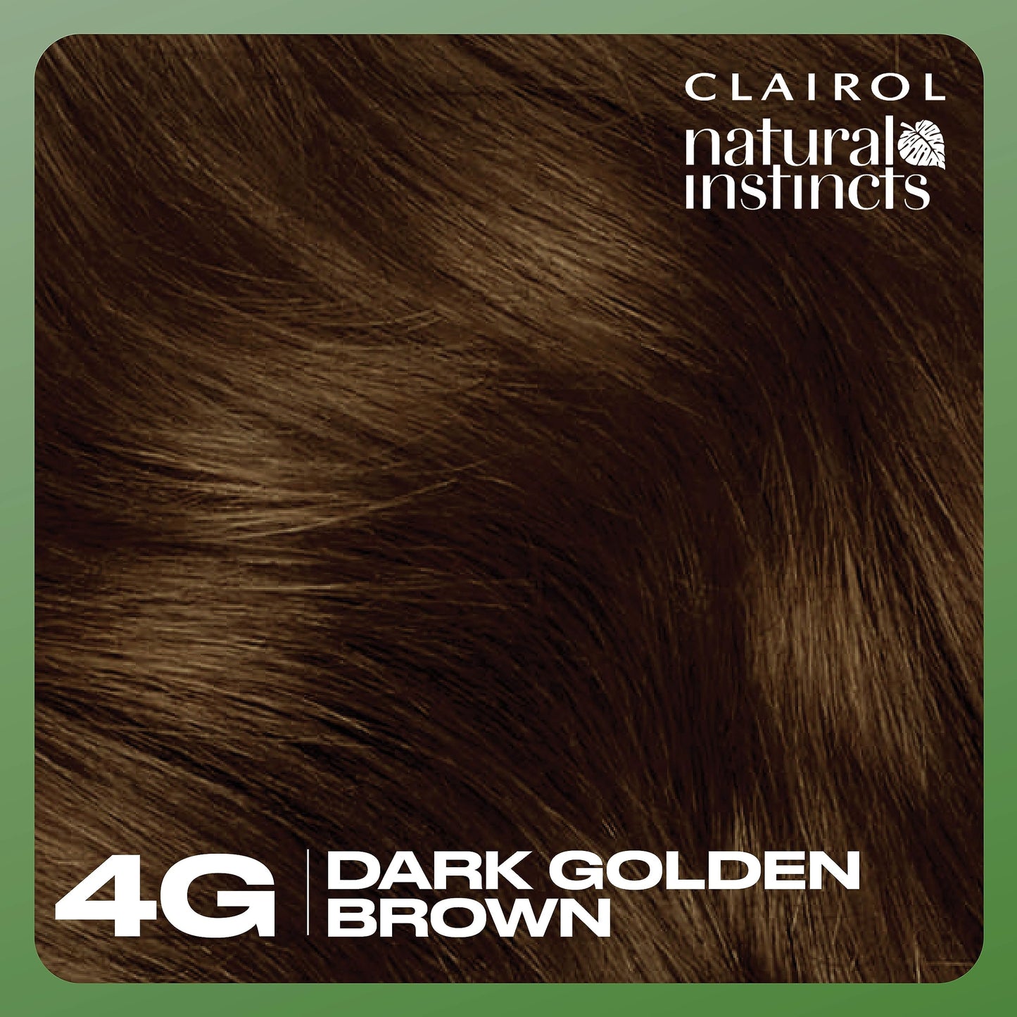 Clairol Natural Instincts Demi-Permanent Hair Dye, 4G Dark Golden Brown Hair Color, Pack of 1