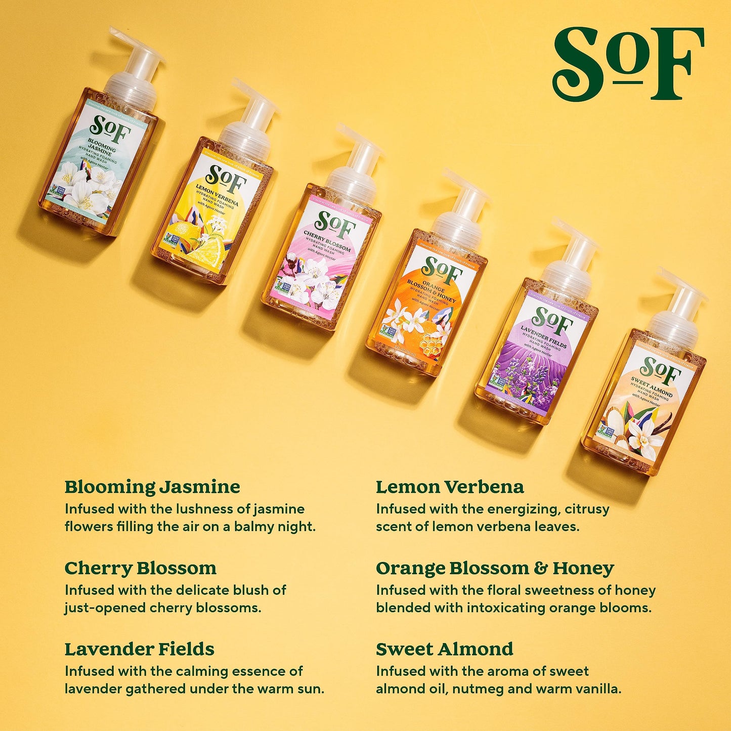 South Of France Foaming Hand Soap Natural Body Care 8oz - Foam Hand Wash (Variety Pack B, 6 Bottles)