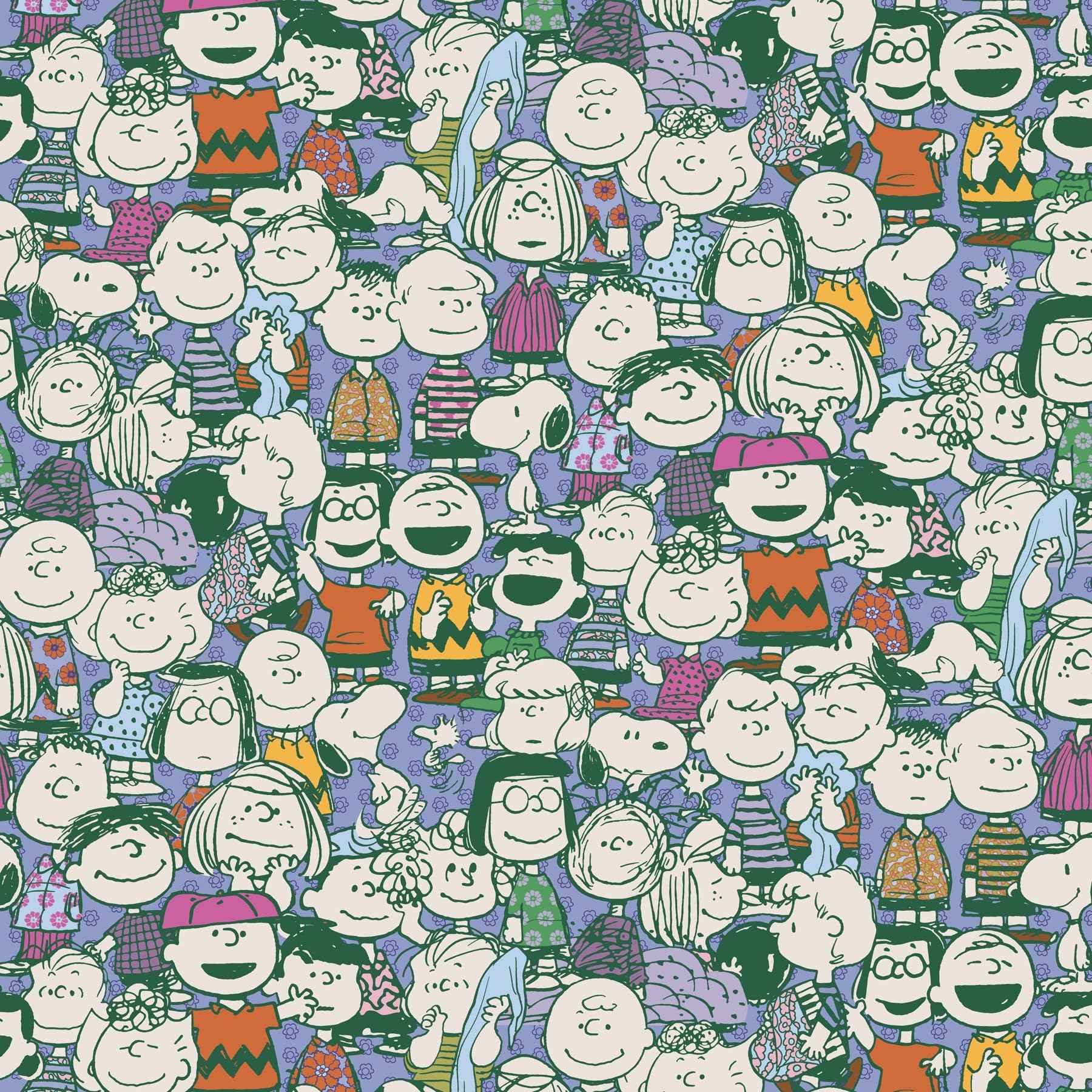 Vera Bradley Premium Cotton Medium Cosmetic Makeup Bag, Peanuts Pals