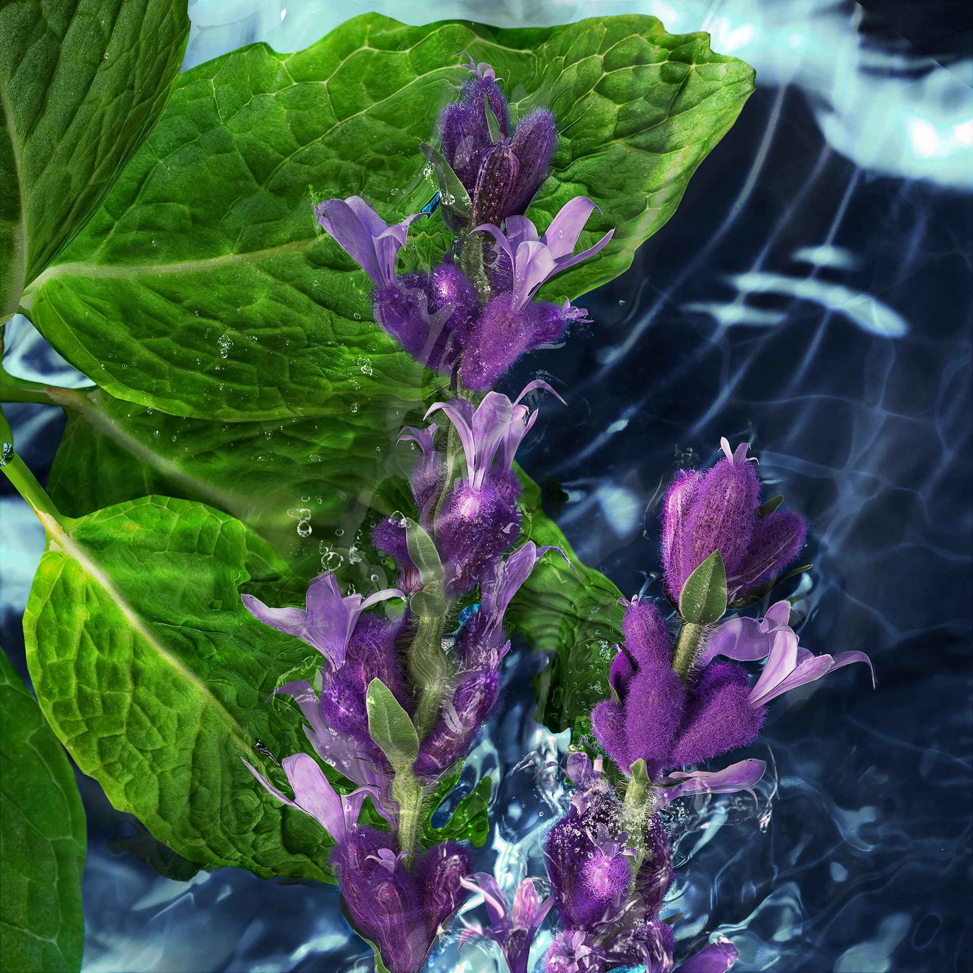 Davidoff Cool Water Men's Deodorant Stick With Notes of Coriander, Mint, Lavender & Amber 2.5 fl oz