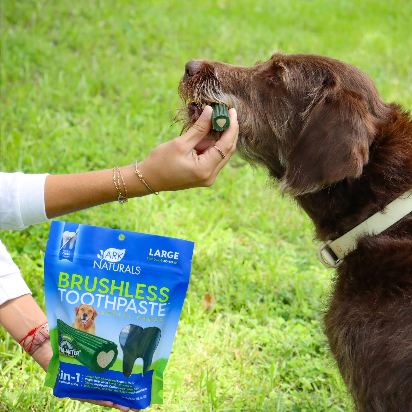 ARK NATURALS Brushless Toothpaste, Dog Dental Chews for Large Breeds, Freshens Breath, Helps Reduce Plaque & Tartar, 18oz, 1 Pack