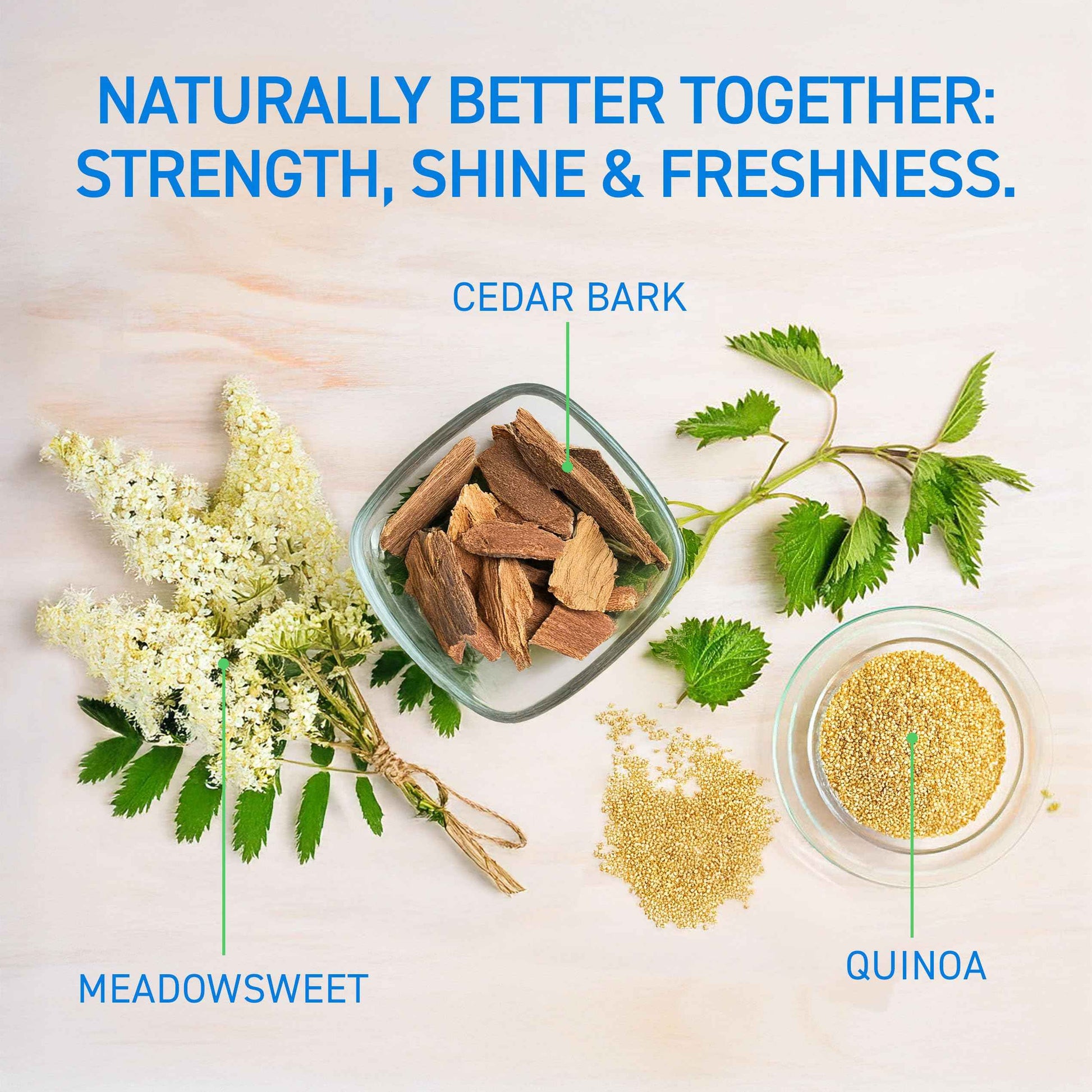 TBH Kids & Teen Hair and Body Care Set – Shampoo, Conditioner & Body Wash with Natural Ingredients – Sulfate & Paraben Free – Gentle for All Hair & Skin Types – 3-Pack, 12 oz Each