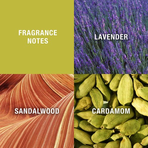 Curve for Men 3 Piece Fragrance Gift Set, Shower Gel, Aftershave Balm & Cologne, Spicy Woody Magnetic Scent for Day or Night, 4.2 fl oz