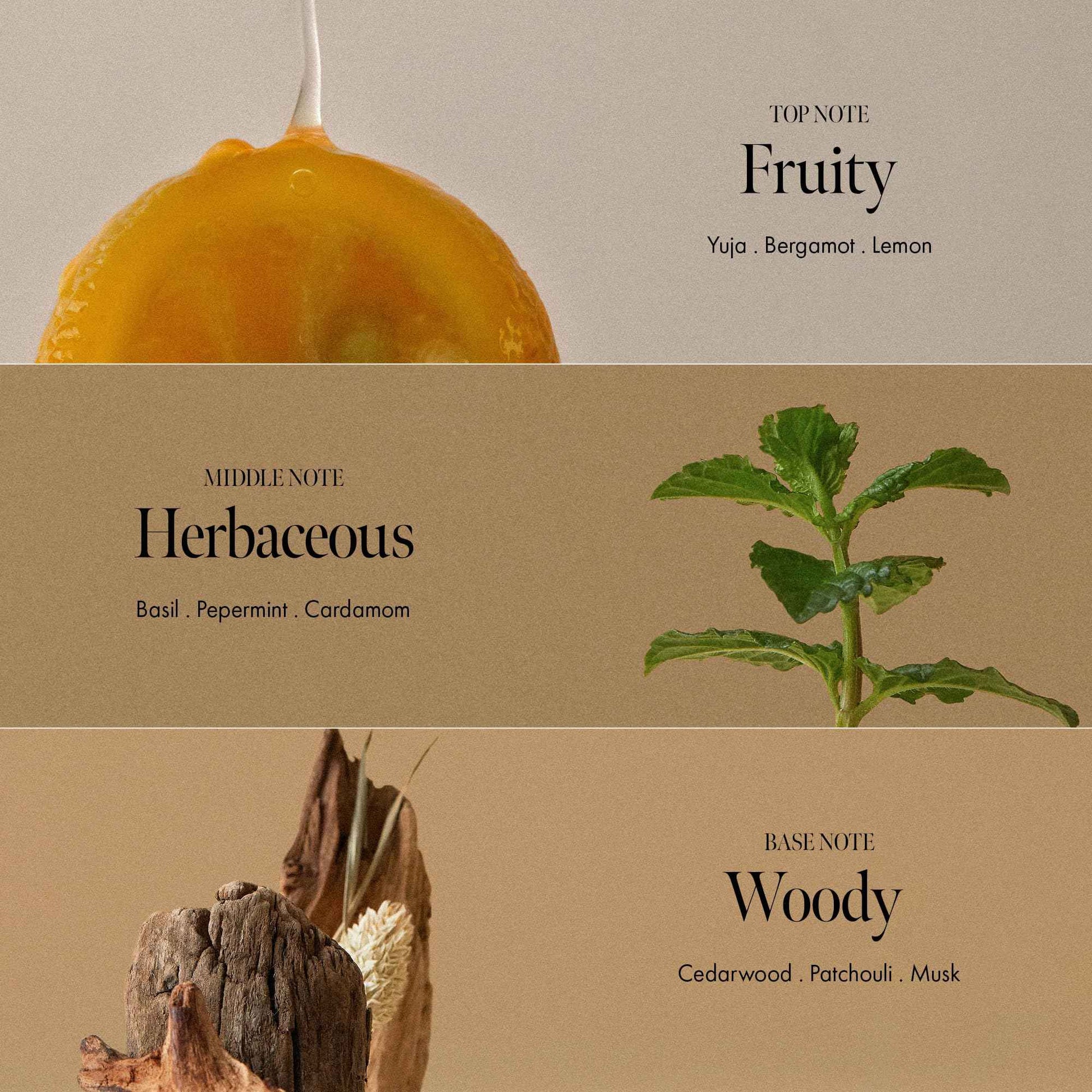 Amber528 Body Wash – Vegan, Sulfate-Free Cleanser with Yuzu & Amber, Hydrating & Soothing, pH-Balanced, Gentle for All Skin Types, Subtle Scent, 15.22 fl. oz