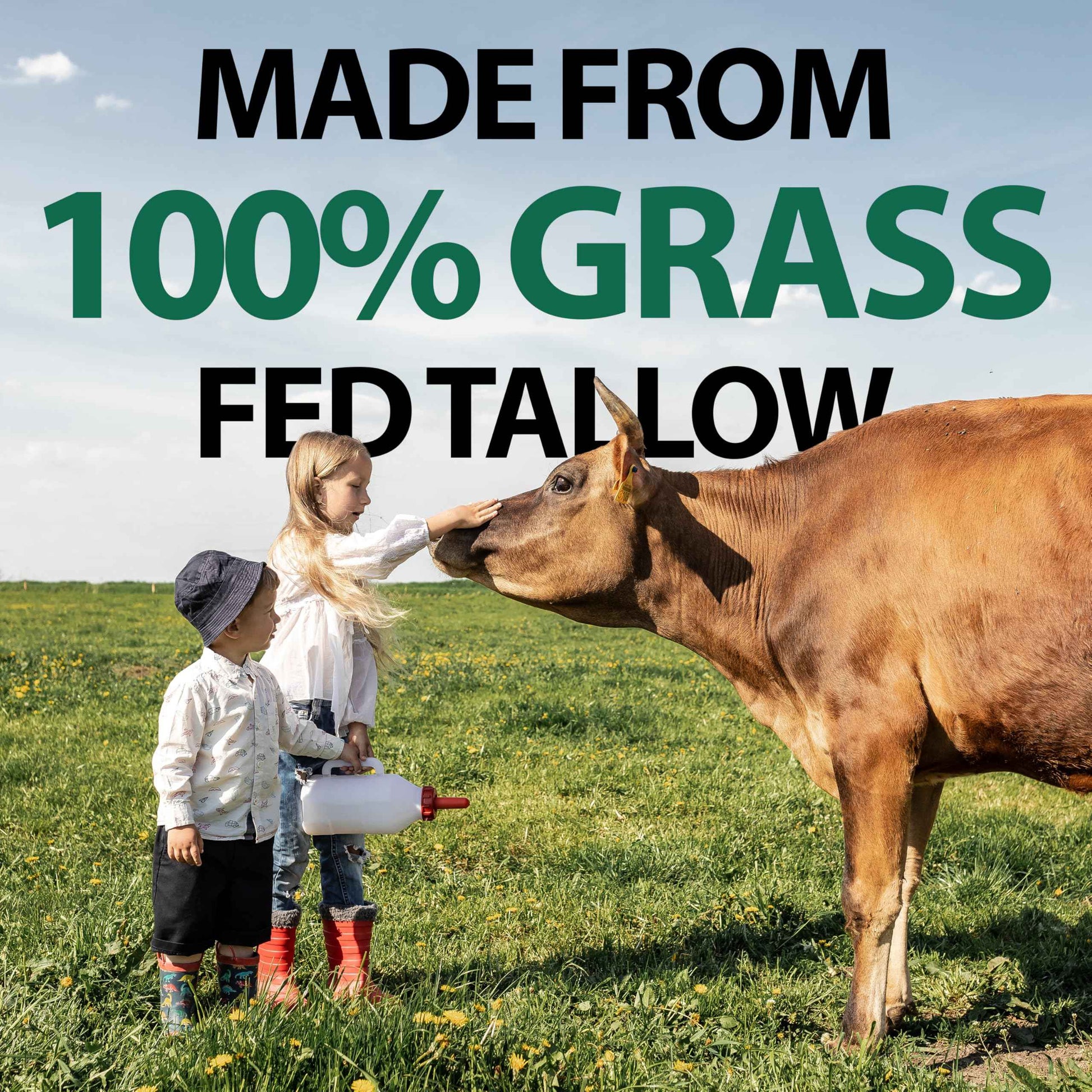 DERMOIA Grass Fed Whipped Beef Tallow for Skin with Manuka Honey - Silky Smooth, Fast Absorbing Tallow & Honey Balm - Ideal for Kids & Eczema Prone Area - Whipped Moisturizer for Dry & Sensitive Skin