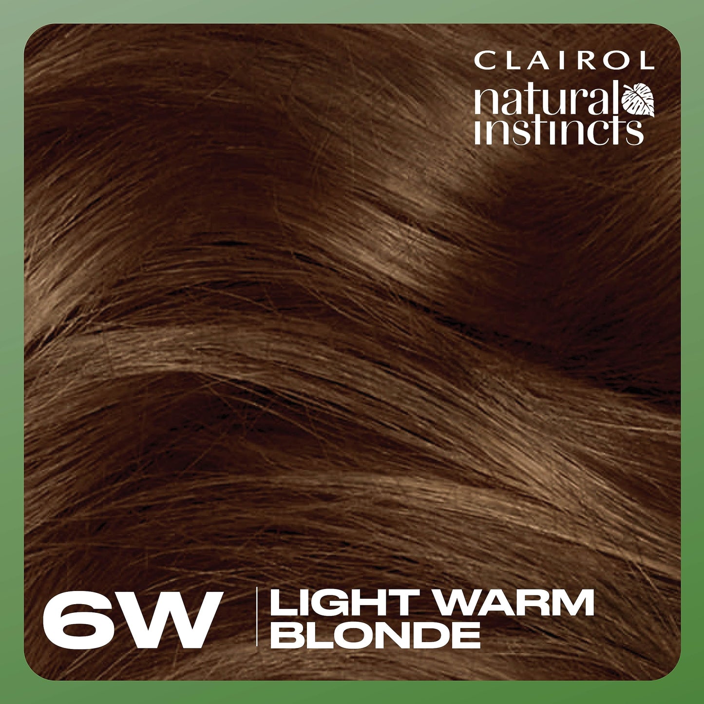 Clairol Natural Instincts Demi-Permanent Hair Dye, 6W Light Warm Brown Hair Color, Pack of 1