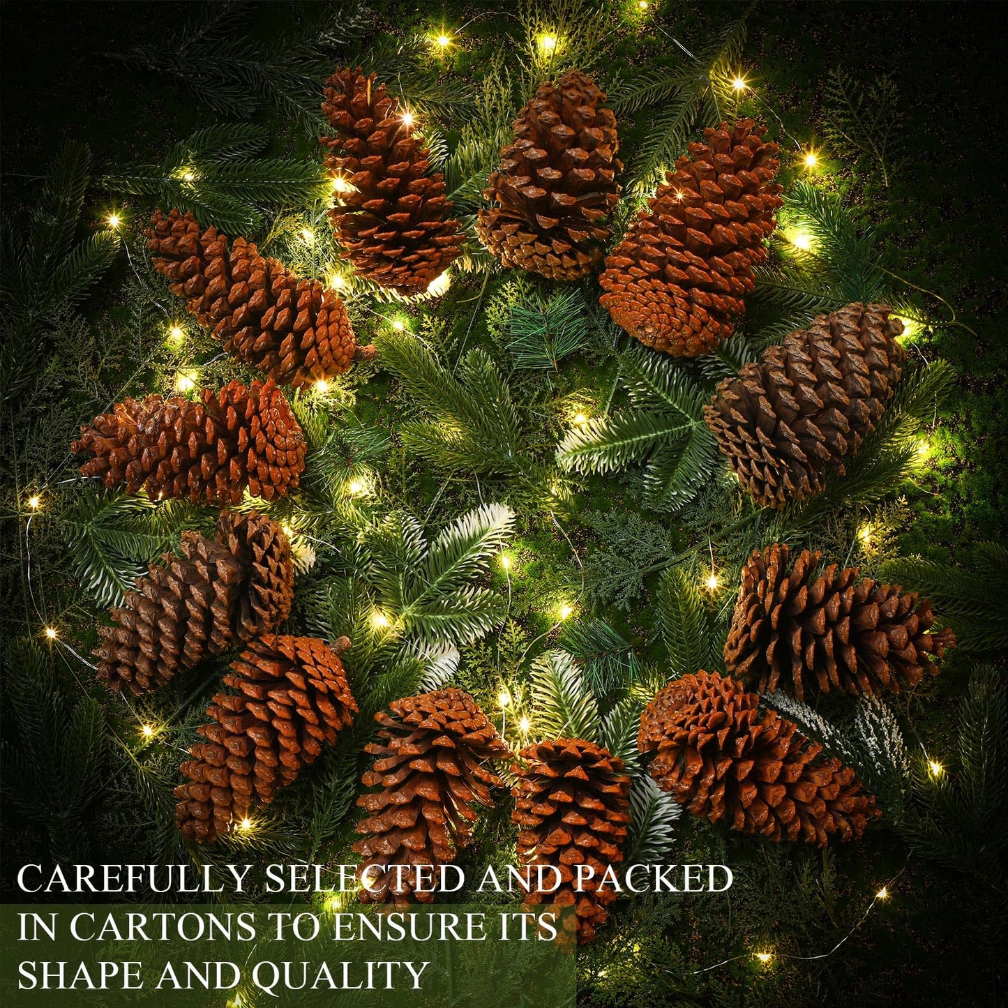 Huwena 12 Pcs PineCones Large Natural Unscented Pine Cones Bulk Rustic Christmas Tree Ornaments Decorative No Chemicals for Crafts DIY Wreath Home Wedding Decoration (5-6 Inches)