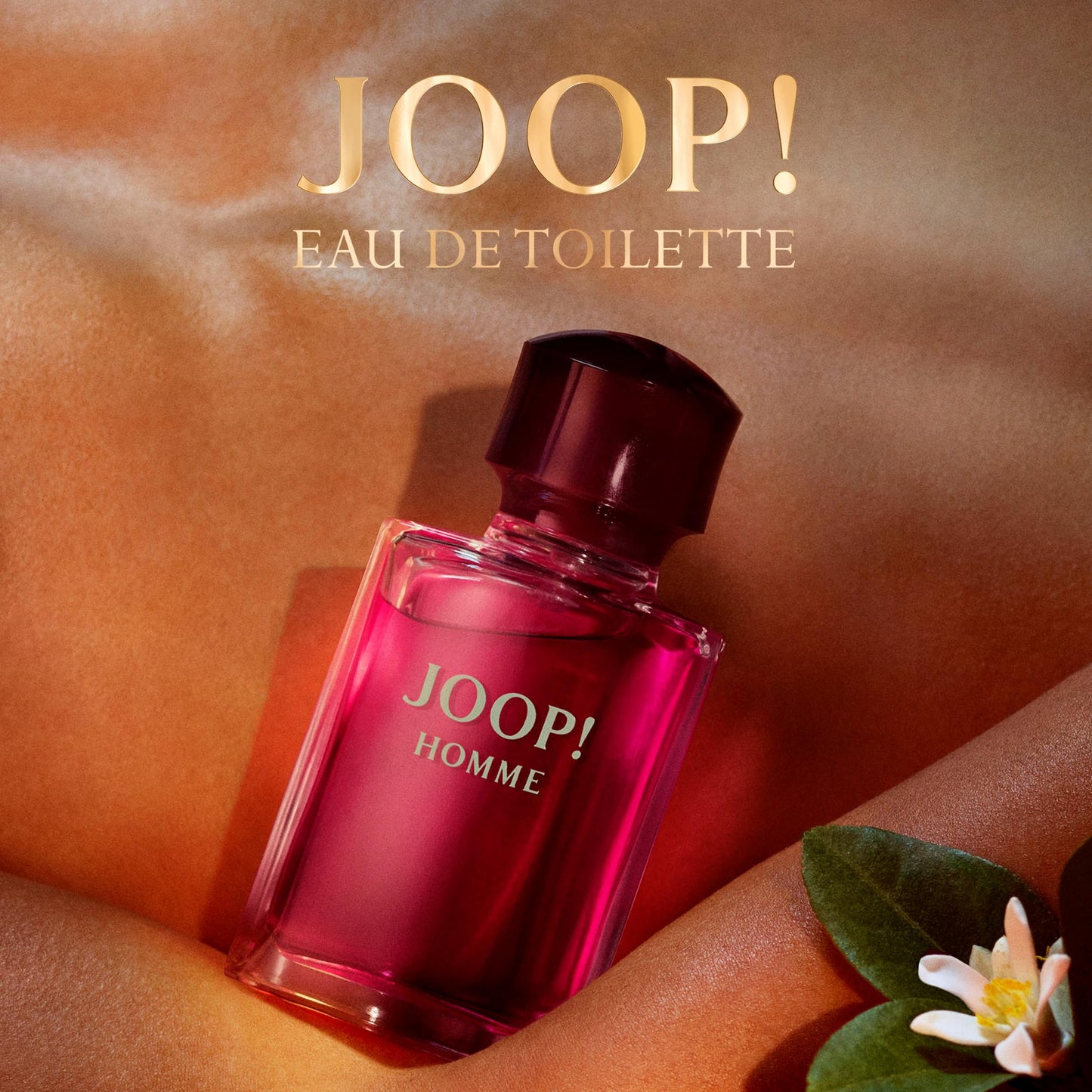 Joop! Men's 2-Pc. Homme Festive Gift Set