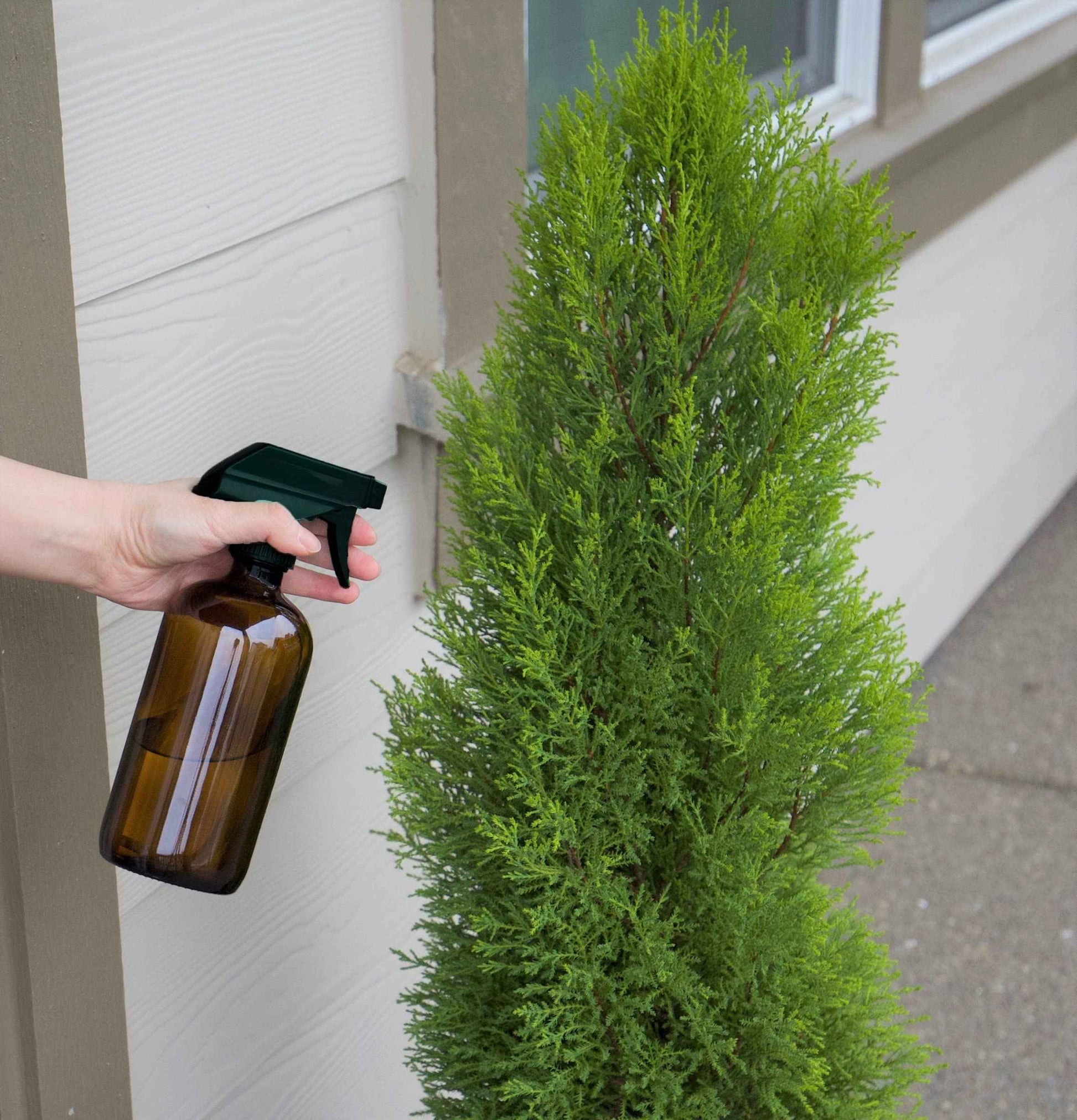 Youngever 4 Pack 16 Ounce Empty Glass Spray Bottles, Refillable Container for Essential Oils, Cleaning Products, or Aromatherapy, Trigger Sprayer with Mist and Stream Settings (Amber)