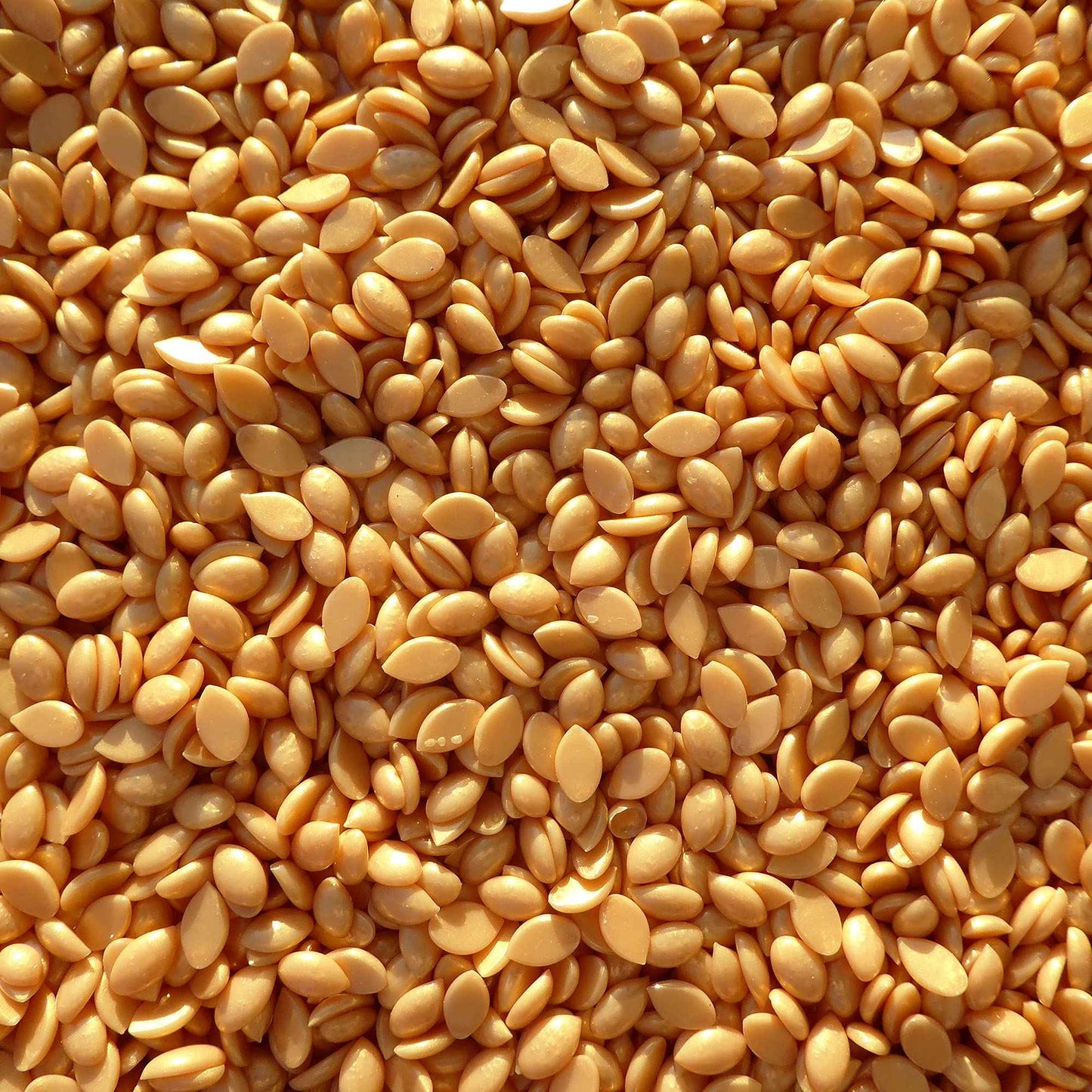 Waxness Premium Gold Rush Hard Wax 1.65 lb / 750 g