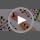 48-Piece Floral Horse Party Set - Tattoos & Slap Bracelets