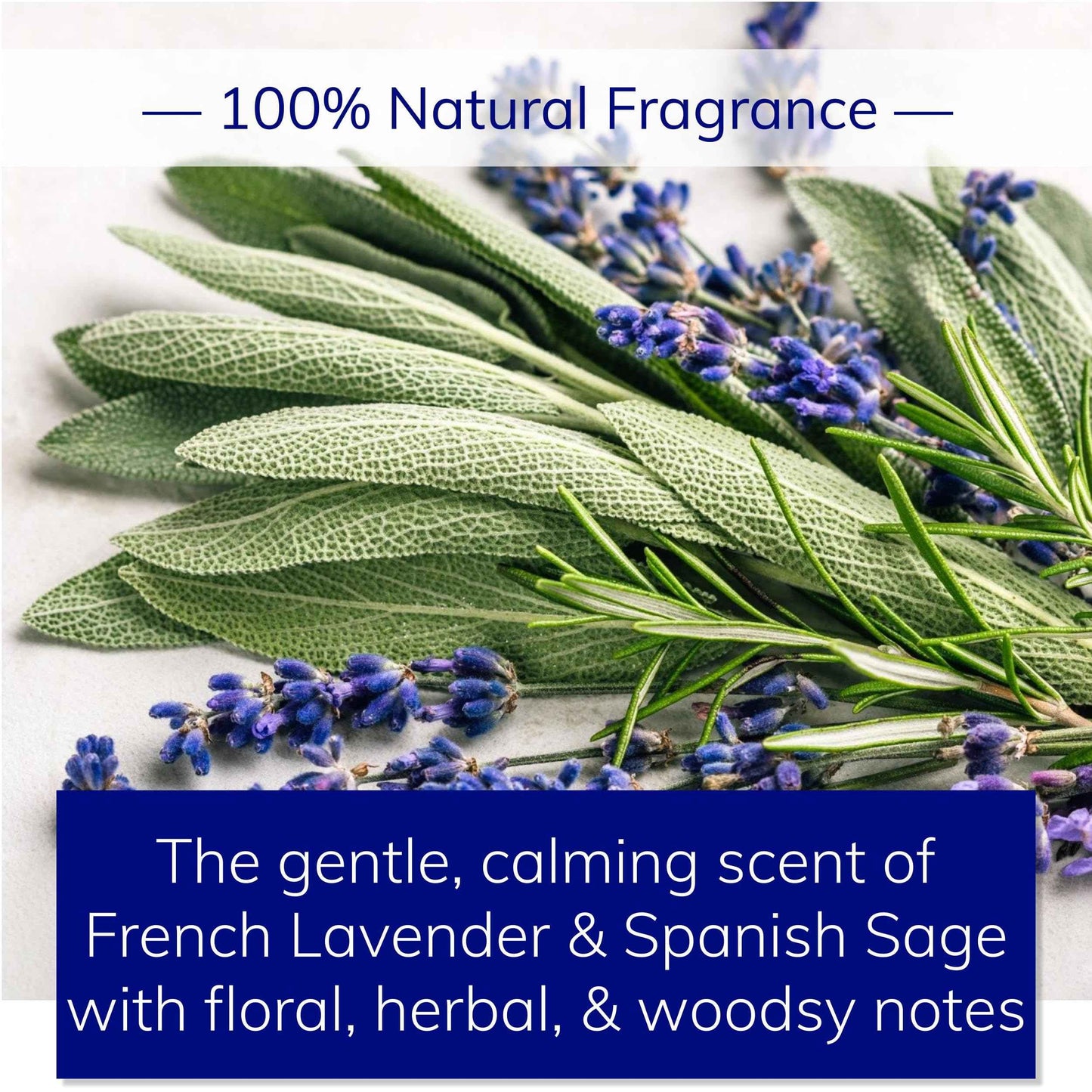 Natural Body Wash | Cleanse, Hydrate, Soften | Sulfate-Free Foaming Lather | Deep yet Gentle, Non-Drying Shower Gel | Handcrafted in Small Batches | All Skin Types incl. Sensitive Skin | Men & Women