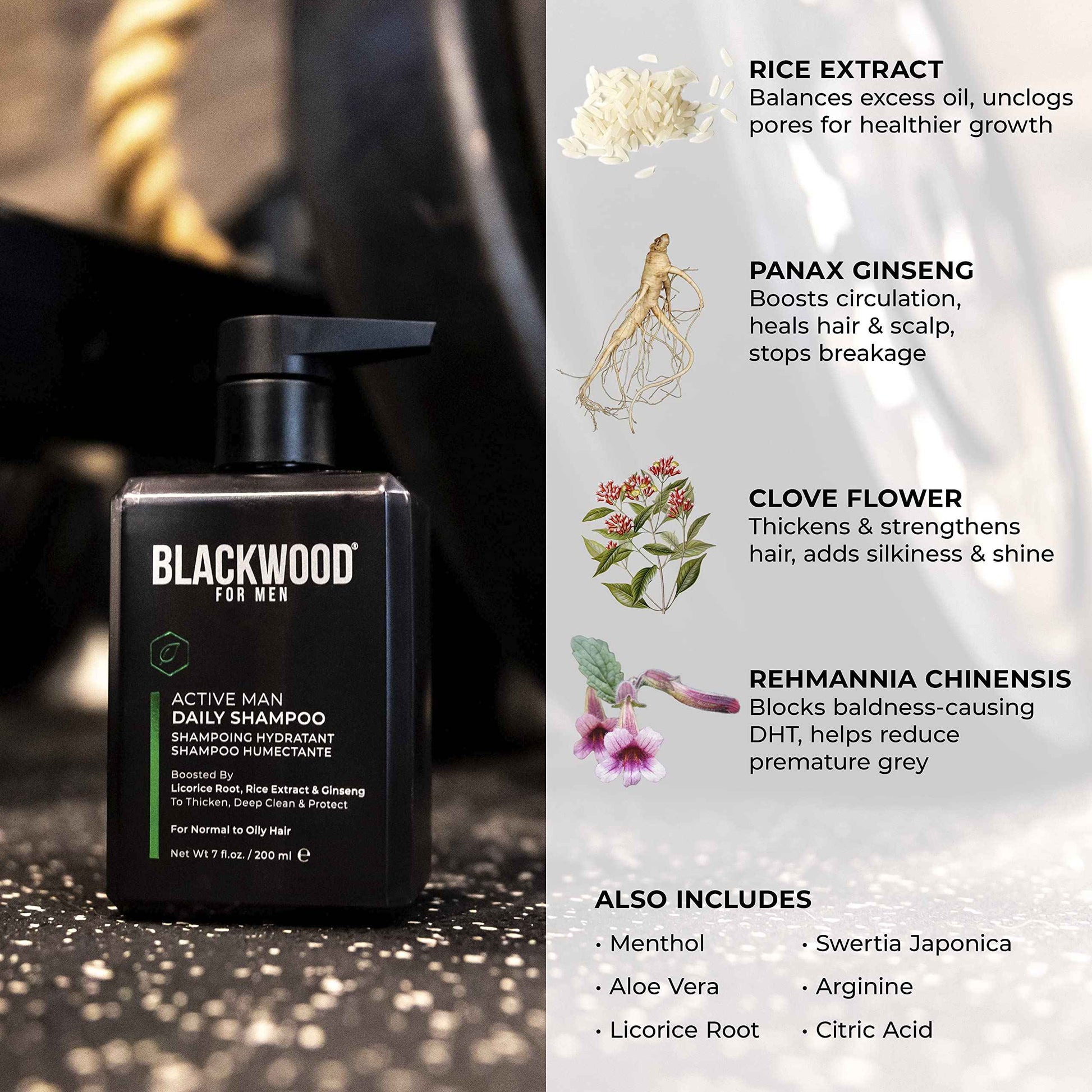 Blackwood For Men Active Man Daily Shampoo (7 Oz), Conditioner (7 Oz), & Pure Moisture Body Wash (17 Oz) Bundle - Men's Thickening Formula for Hair Loss & Dandruff - Sulfate, Paraben, & Cruelty Free