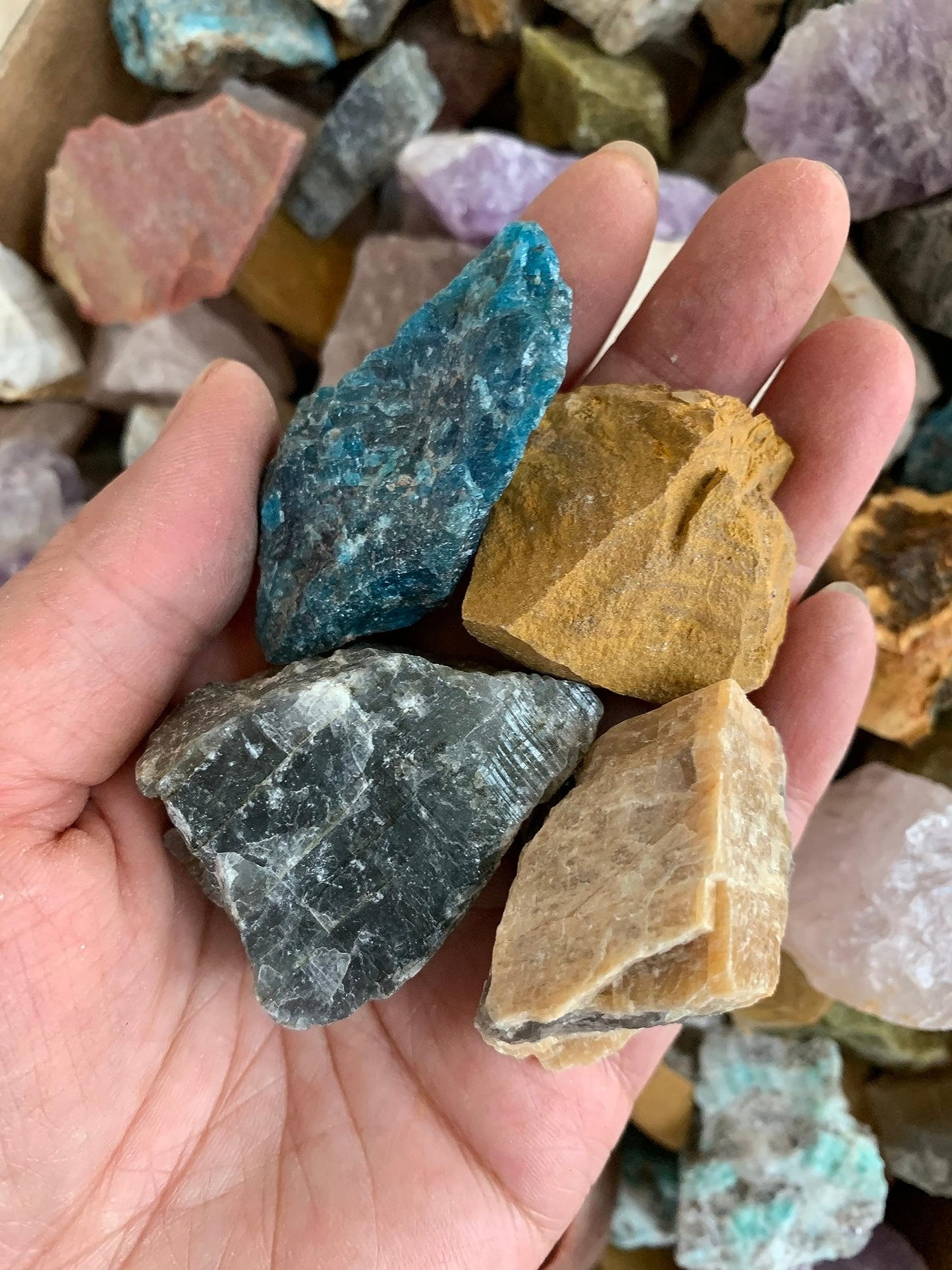 GAF TREASURES Wholesale Raw Assorted Crystals, Natural Assorted Stone, Natural Rough Assorted Crystals, Assorted Rough, Assorted Healing Crystals (Assorted, 0.25 Pound)