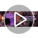 Halloween Indoor Bubbling Cauldron Decor Set with Lights & Accessories