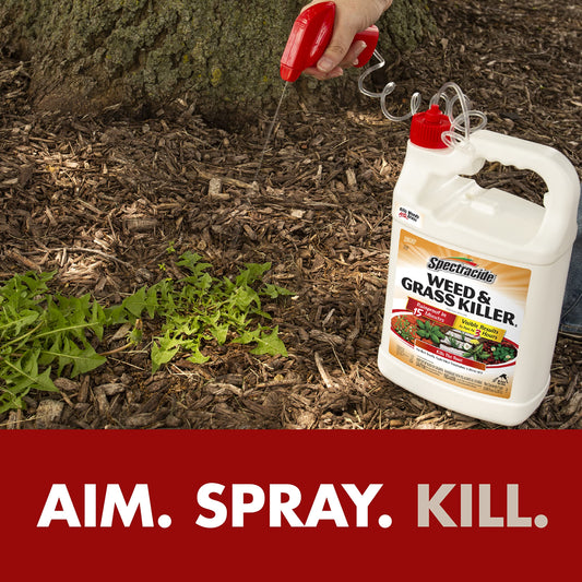 Spectracide Weed & Grass Killer, Use On Driveways, Walkways and Around Trees and Flower Beds, 1 Gallon (RTU Spray)