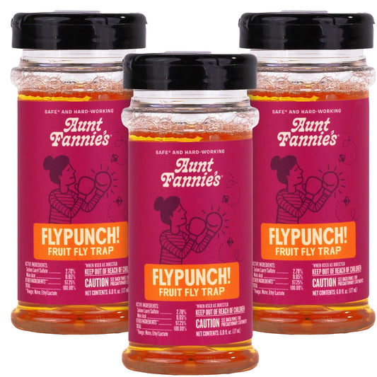 Aunt Fannie's FlyPunch Fruit Fly Trap (3 Pack): for Indoor and Kitchen Use, Made with Plant Based Ingredients, Packaging May Vary