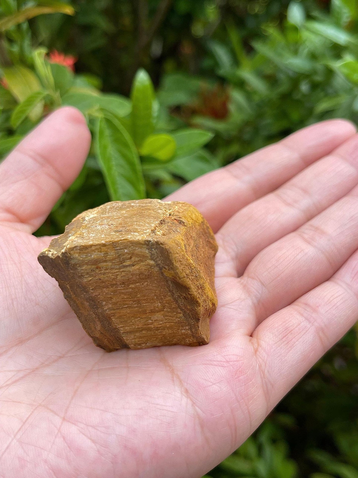 GAF TREASURES Wholesale Raw Tiger Eye Crystals, Natural Tiger Eye Stone, Natural Rough Tiger Eye Crystals, Tiger Eye Rough, Tiger Eye Healing Crystals (Tiger Eye, 0.25 Pound)