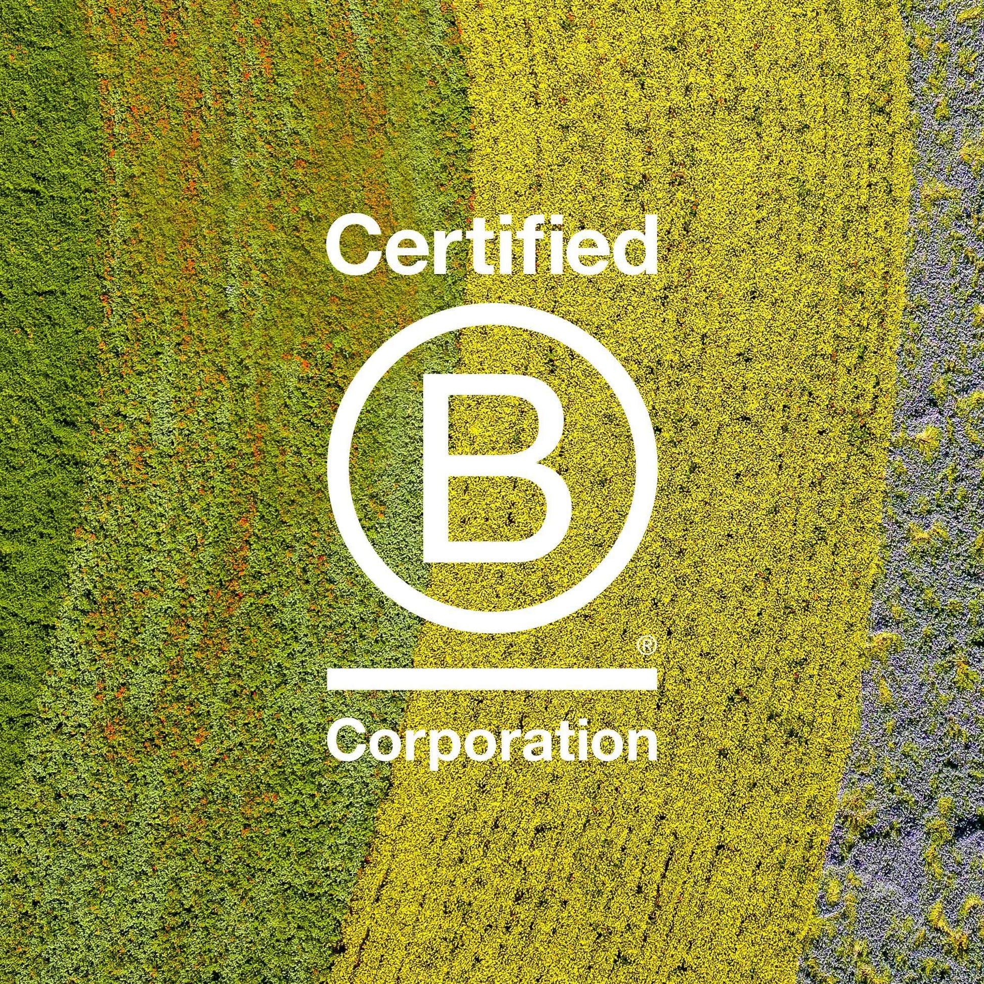 Davines OI Nourishing Shampoo & Conditioner for All Hair Types, Adds Silky-Smooth Shine & Volume, Softens And Restores Chemically Treated Hair, 2.64 & 3.04 fl. oz.