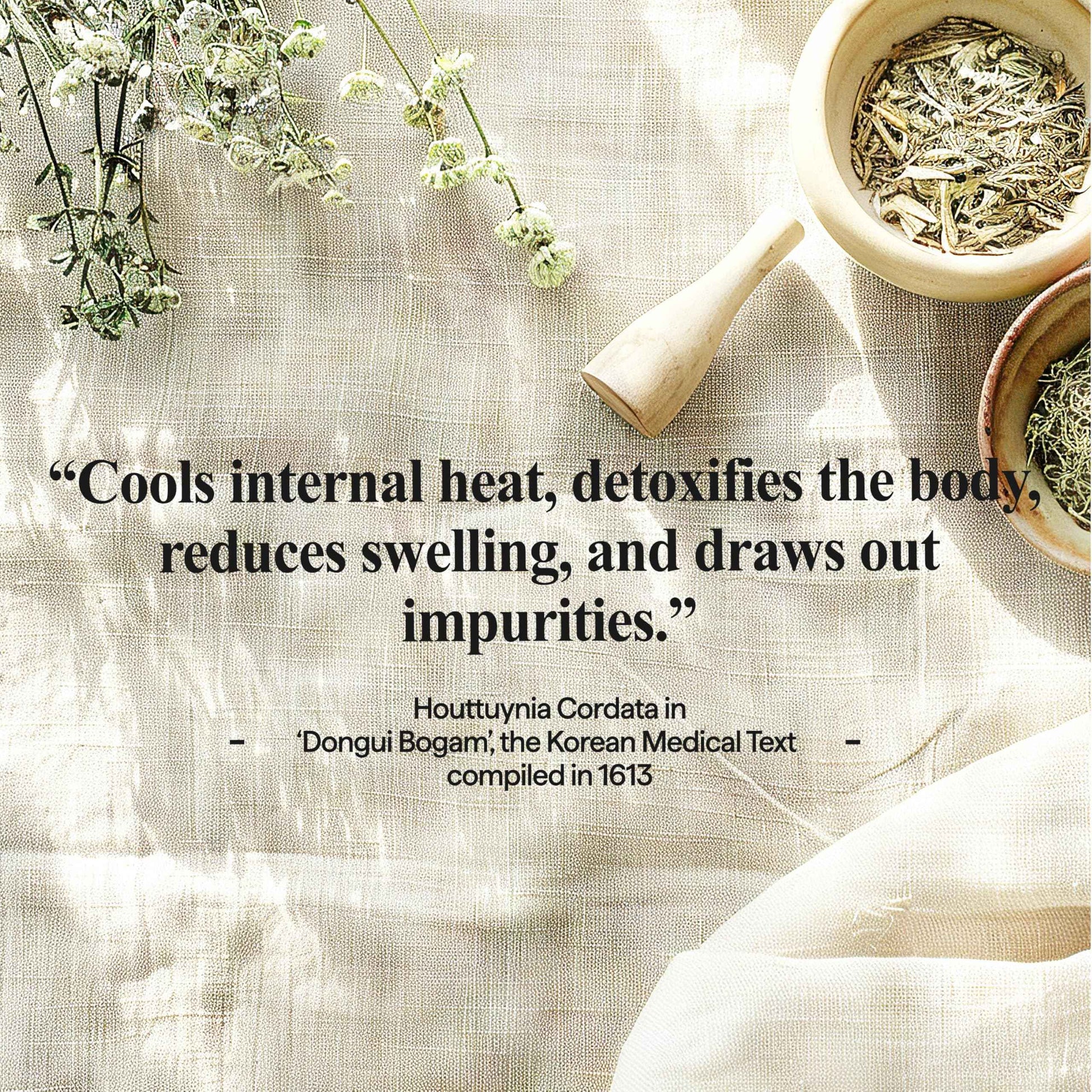 All Natural Houttuynia Cordata Mask Sheet - Heartleaf Soothing & Sebum Control Facial Sheet Mask, Gentle Formula for Daily Use (13ea)