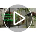 VIVOSUN Battery-Powered Plant Sprayer 2L, USB Rechargeable Mister