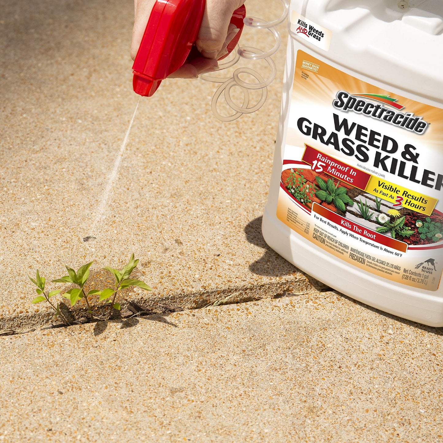 Spectracide Weed & Grass Killer, Use On Driveways, Walkways and Around Trees and Flower Beds, 1 Gallon (RTU Spray)