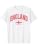 England Flag T-Shirt - Premium Cotton Casual Tee for Fans