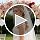 JITINX Crystal Tiara Crown for Women - Bridal & Party Accessory