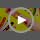 Fox Party Favors Set - 24 Slap Bracelets & 24 Temporary Tattoos